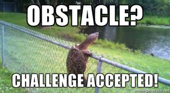 The Power of Perception: Facing Life’s&nbsp;Obstacles